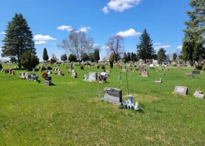 gravestones in cemetery